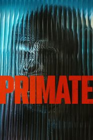 Primate