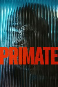 Primate