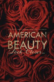 American Beauty: Look Closer…